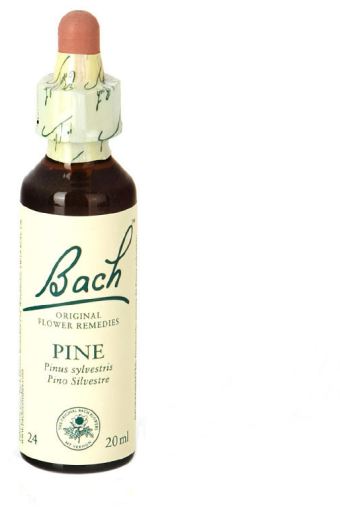 Bach 24 Pine 20 ml